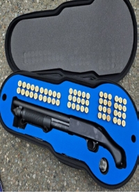 Gun hidden in violin case