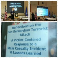 Mass Casualty Training