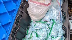 Box full of fentanyl pills