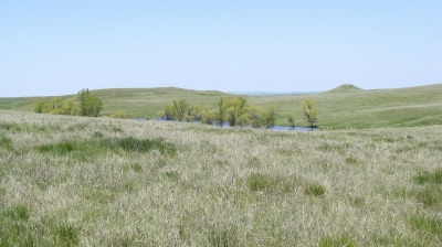 Dakota Prairie Grasslands, Courtesy USDA FS Photo by Dr Jeremy Guinn