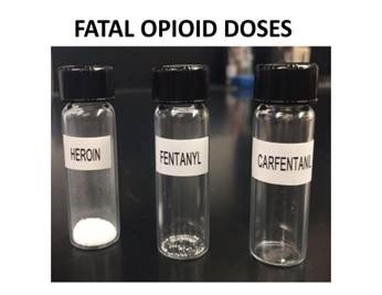 Fatal Opioid Doses