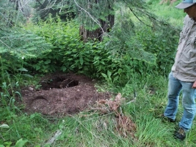 Man Pleads Guilty to Disturbing Archaeological Site in Umatilla National Forest 