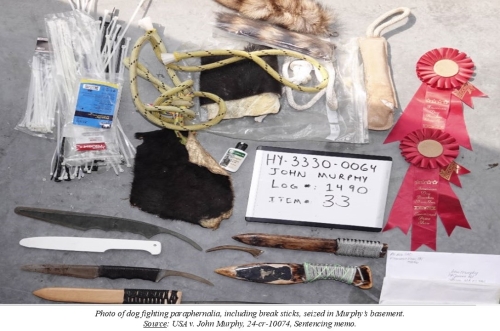Photo of dog fighting paraphernalia, including break sticks, seized in Murphy’s basement. Source: USA v. John Murphy, 24-cr-10074, Sentencing memo.