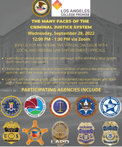 The Many Faces of the Criminal Justice System