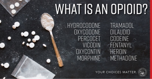 What is an Opioid? What is an Opioid?