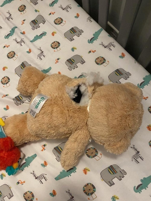 Baker Jamar complaint teddy bear Baker Jamar complaint teddy bear