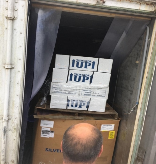 Boxes of salmon