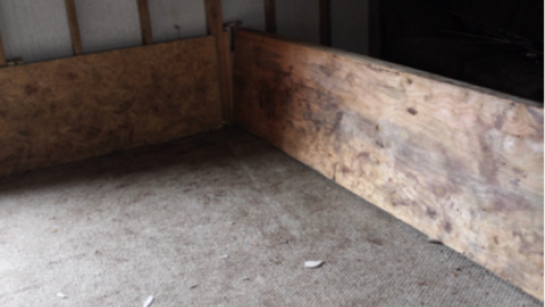 Photo of a bloodstained dog fighting pit