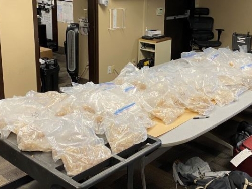 173 pounds of MDMA spread out on a table
