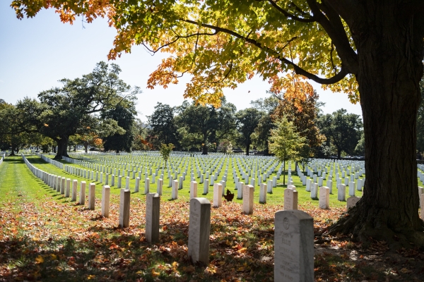 Arlington National Cemetery in Shadows Photo by U.S. Army