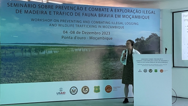 A Justice Department attorney gives a speech from behind a podium and in front of a timber trafficking poster