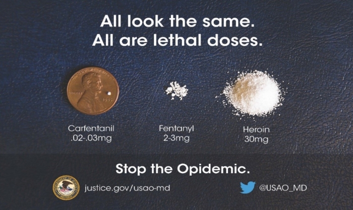 Stop the opidemic Stop the opidemic