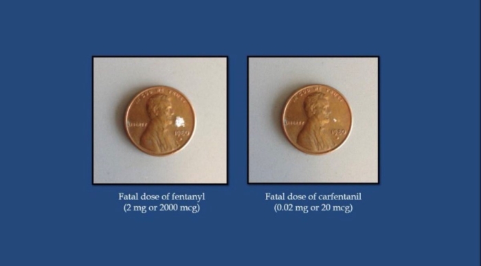Fatal dose of fentanyl (2 mg or 2000 mcg) and fatal dose of carfentanil (0.02 mg or 20 mcg) Coints