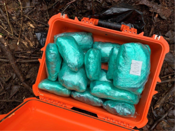 Drugs in storage case