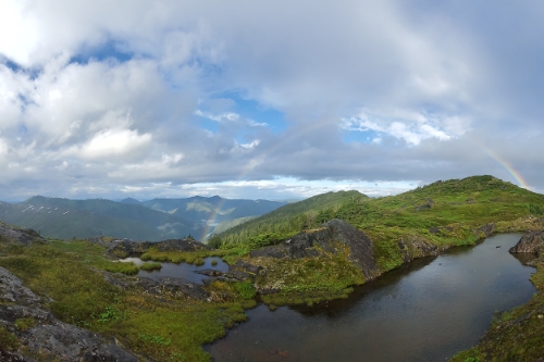 Card Tongass National Forest, Photo by Scott Crawford, ENRD