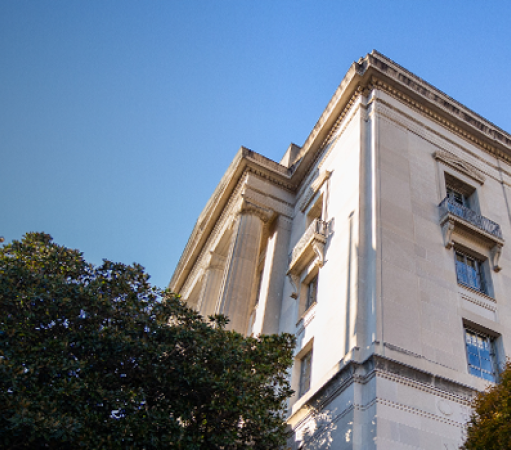 DOJ Building and Trees