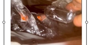 Video image of gun in a bag