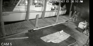defendant on dock ordering two individuals to load protected fish in his truck