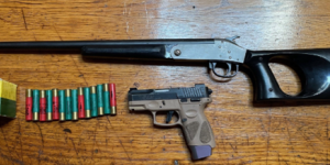 firearms and ammunition