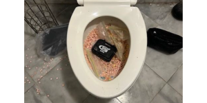 Image of orange pills in toilet bowl. Text reads: defendant allegedly attempted to flush pills, brown powdery substance and other material down the toiler in his basement before being detained.