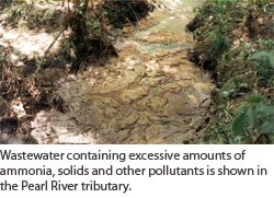 Wastewater containing excessive amounts of ammonia, solids and other pollutants is shown in the Pearl River tributary. Wastewater containing excessive amounts of ammonia, solids and other pollutants is shown in the Pearl River tributary.