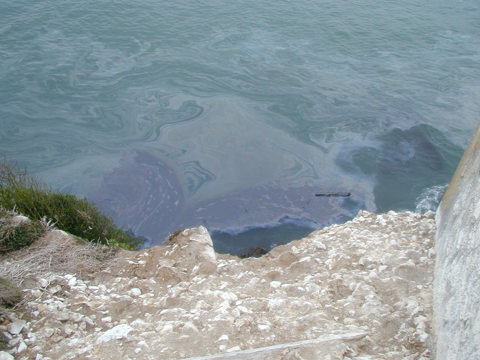 Oil Spill near Alcatraz Island. Courtesy of FWS Oil Spill near Alcatraz Island. Courtesy of FWS.