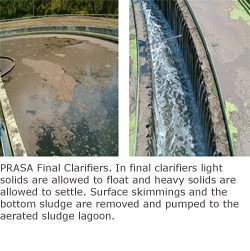 PRASA Final Clarifiers. In final clarifiers light solids are allowed to float and heavy solids are allowed to settle. Surface skimmings and the bottom sludge are removed and pumped to the aerated sludge lagoon. PRASA Final Clarifiers. In final clarifiers light solids are allowed to float and heavy solids are allowed to settle. Surface skimmings and the bottom sludge are removed and pumped to the aerated sludge lagoon.