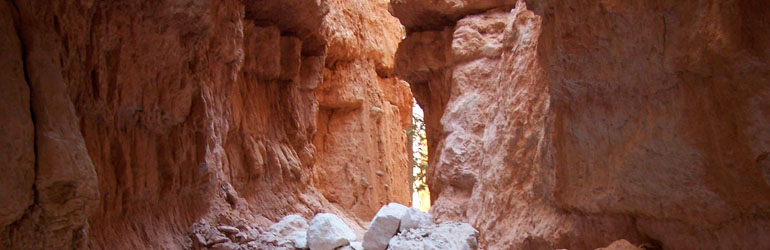 Rock slide on the Navajo Loop Trail. Courtesy of USGS.