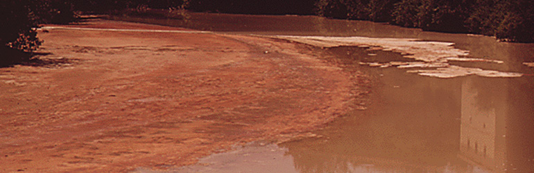 A river flows past a paper mill. Most of the river is unfit for fishing, swimming or boating as a result of decades of pollution by bordering mills, 07/1973. Courtesy of National Archives