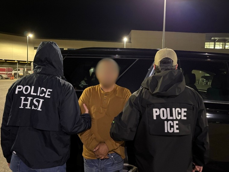 Detainee with HSI Officers