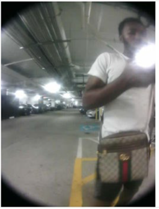 Surveillance photo of Gadie.