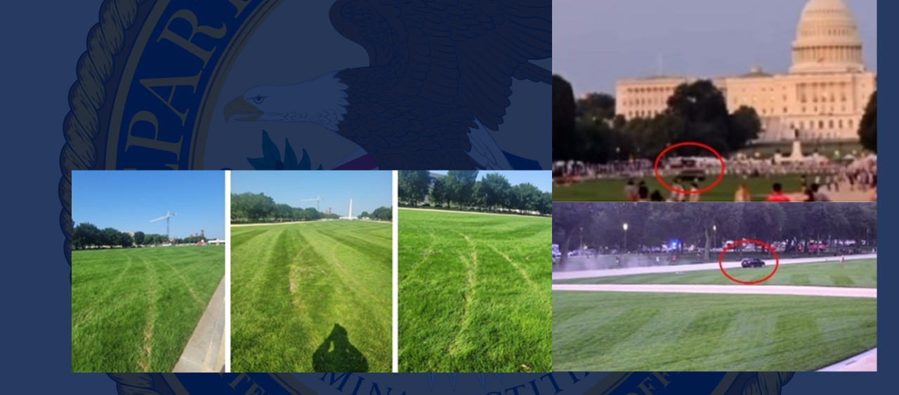 D.C. Driver Who Tore Up National Mall Lawn and Menaced Pedestrians Gets 18 Months in Prison