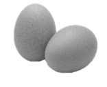 CPB Image - Click to view Food and Dietary Supplements Recent Cases section. This image displays in section of information about CPB Practice Area Food and Dietary Supplements