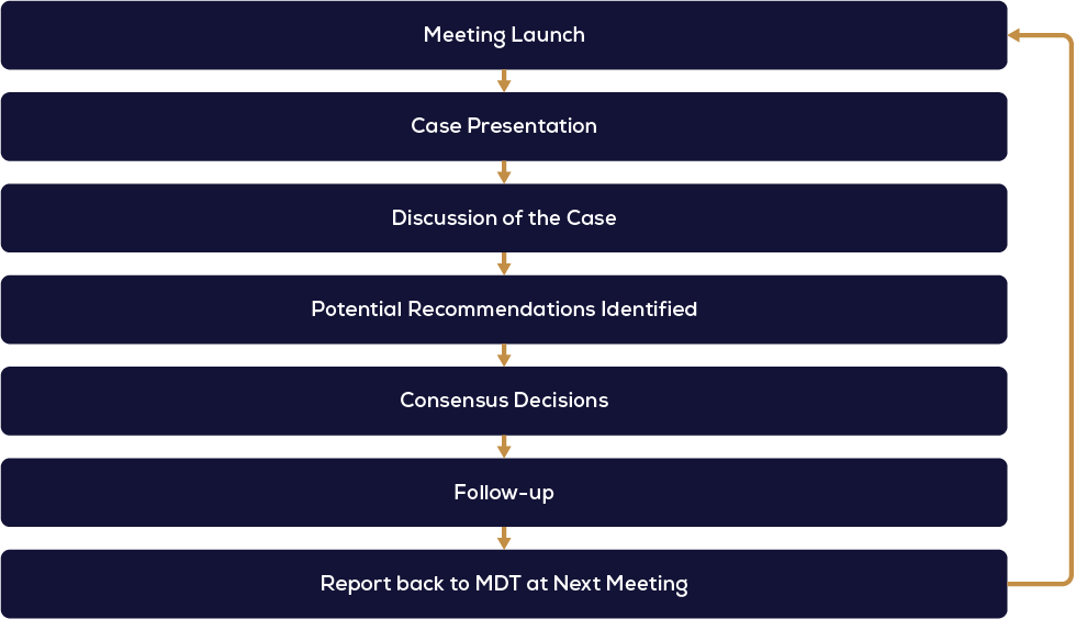 Case Review Flow Chart