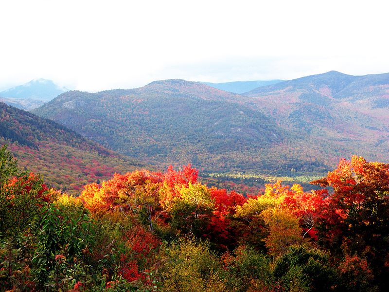 Fall foliage Fall foliage