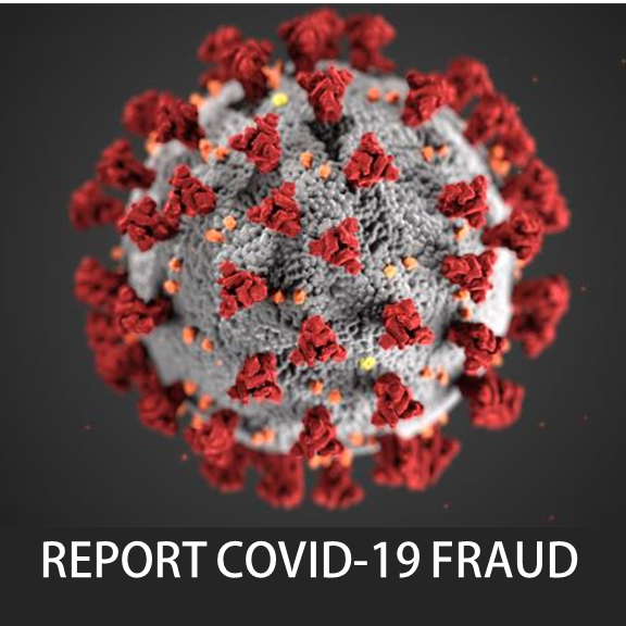 Report COVID 19 Fraud