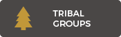 Tribal Groups Button