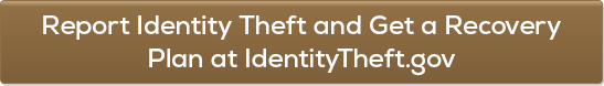 Report Identity Theft and Get a Recovery Plan at IdentityTheft.gov