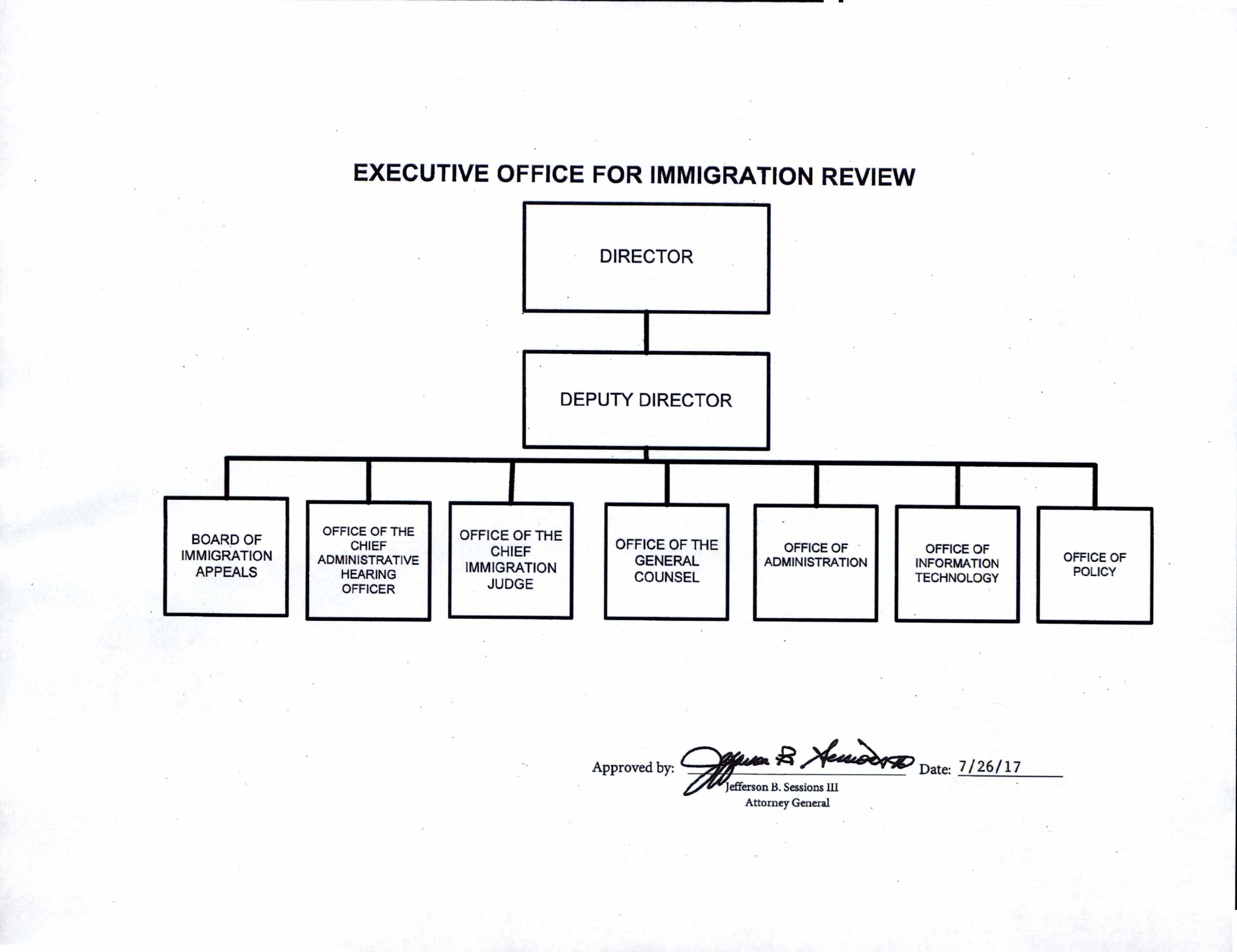 Immigration And Customs Enforcement Organizational Chart