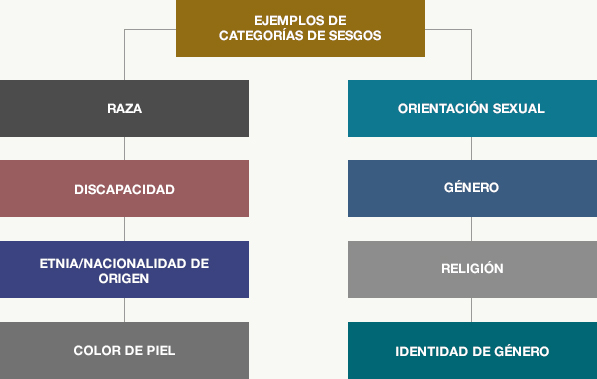 Ejemplos de categorías de sesgos 