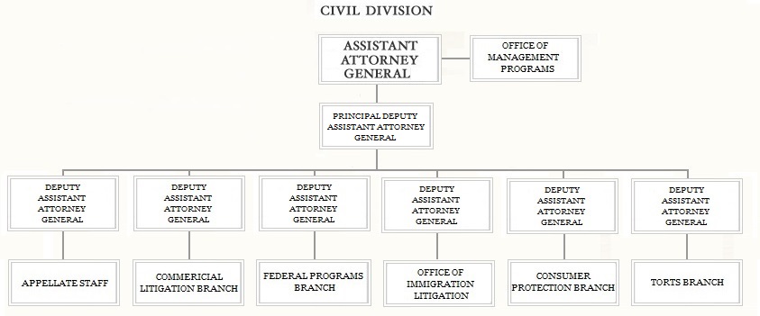 Branches Of Government Chart