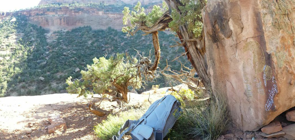 Exhibit 4 Colorado National Monument Before Restoration