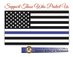Thin blue line flag 