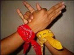 Almighty Latin King And Queen Nation (Alkqn)