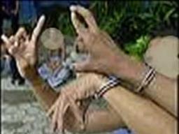 Mara 
Salvatrucha, also known as MS-13