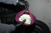 U.S. Currency seized in Portillo case
