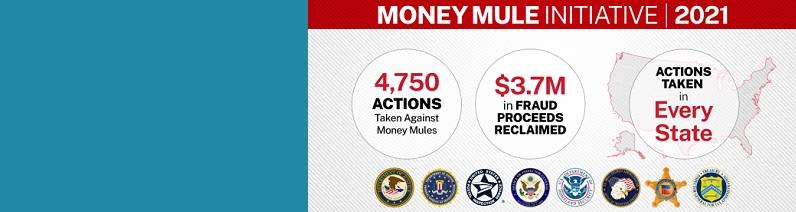 Money mules help international criminal networks steal money from senior citizens, businesses, and people just like you.