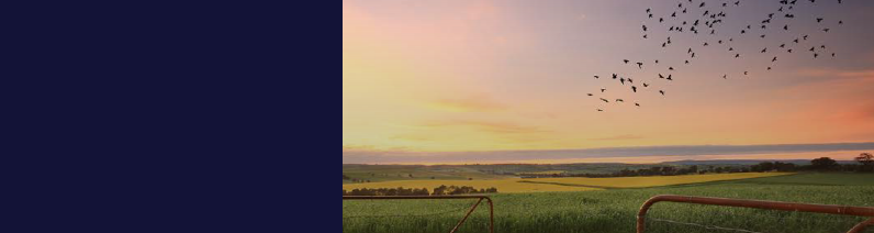 Rural and Tribal Elder Justice Summit Resource Guide