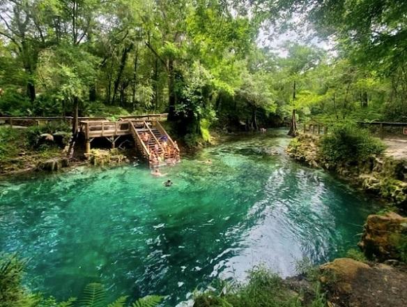 Madison Springs