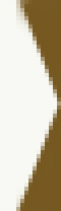 White arrow White arrow